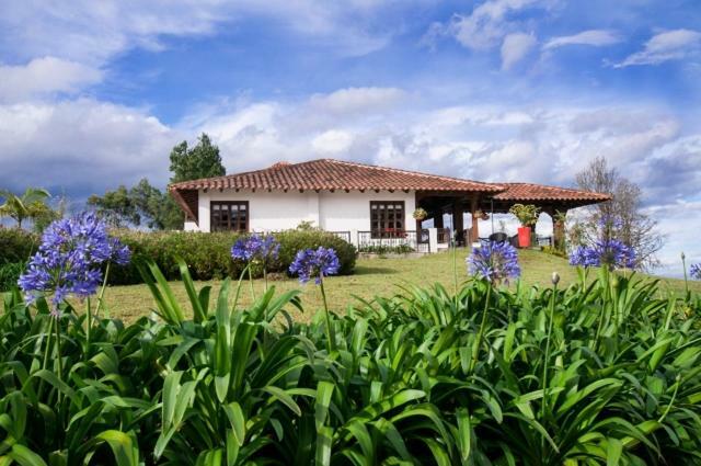 Hotel Reserva Monarca Salento Extérieur photo